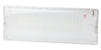 Светильник светодиодный DPA-301-0-65 40LED 3ч IP65 аварийный непостоянный Эра Б0044405